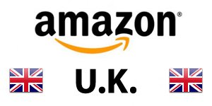 亞馬遜一年一度數(shù)據(jù)報(bào)告（亞馬遜英國(guó)站）