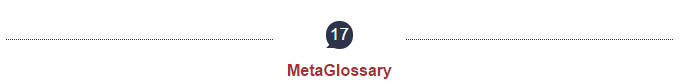 17MetaGlossary 17MetaGlossary