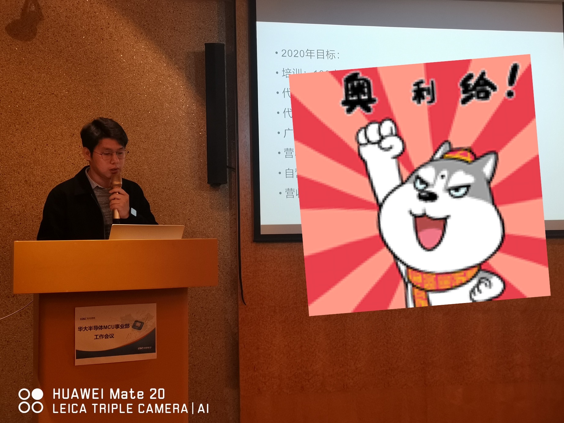 鑫林的年度總結(jié)與計(jì)劃